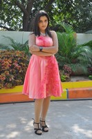Padmini Gallery